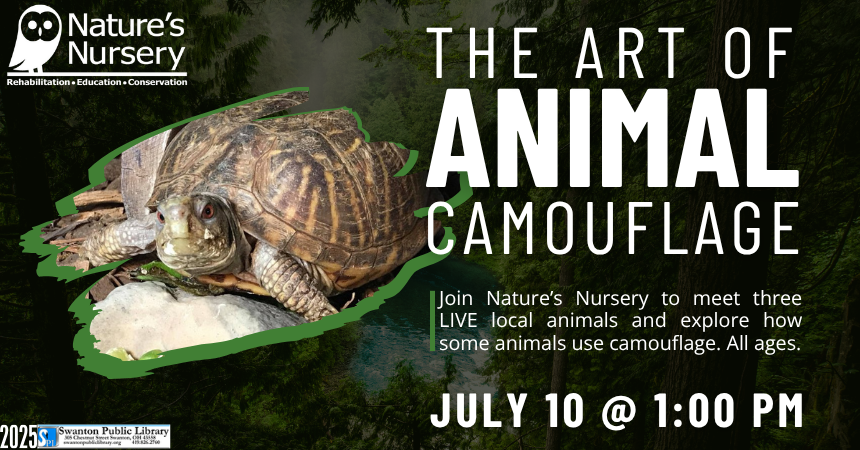 The Art of Animal Camouflage with Nature’s Nursery 