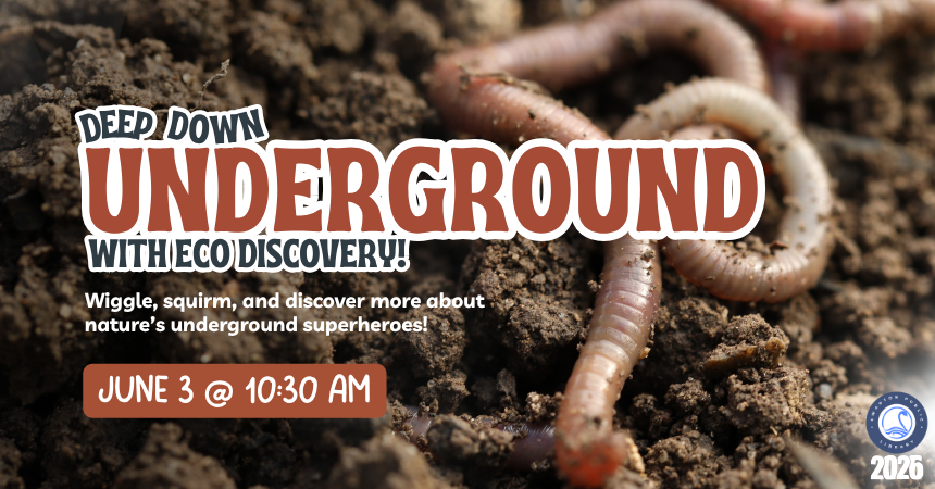 Deep Down Underground with ECO Discovery!