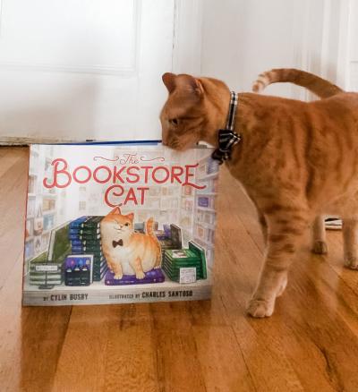 bookstore cat
