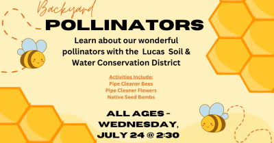 Backyard Pollinators 