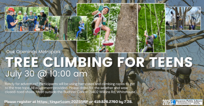 Tree Climbing at Oak Openings 