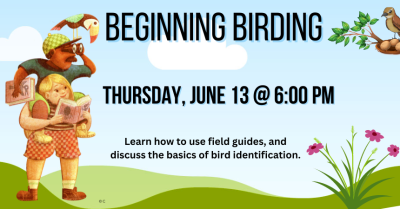 Beginning Birding: Birdwatching Basics 