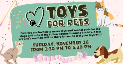 Toys for Pets
