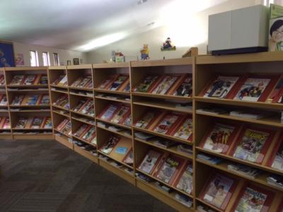 shelves of magazines in the library