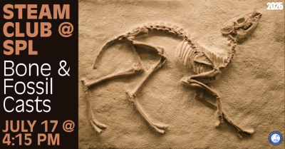 Bone &amp; Fossil Casts